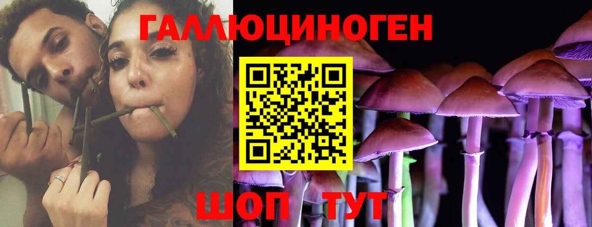 Галлюциногенные грибы GOLDEN TEACHER Великий Устюг
