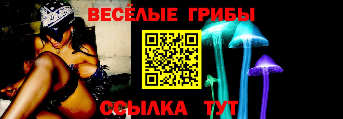 Псилоцибиновые грибы прущие грибы  Вход с VPN  купить наркоту  Великий Устюг 